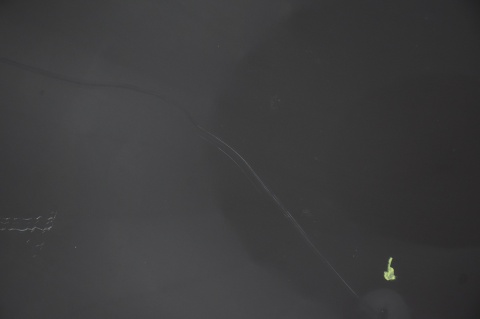 MASKA POKRYWA SILNIKA ALFA ROMEO MITO 805