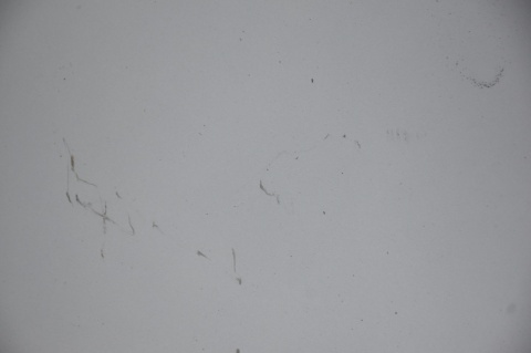 MASKA POKRYWA SILNIKA HONDA CR-Z NH642M