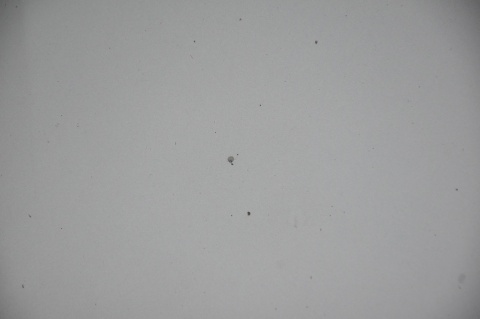 MASKA POKRYWA SILNIKA HONDA CR-Z NH642M