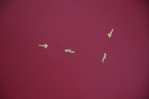 MASKA POKRYWA SILNIKA HYUNDAI I30 I LIFT JA