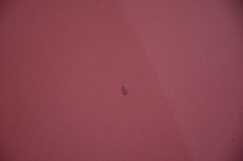 MASKA POKRYWA SILNIKA KIA RIO III