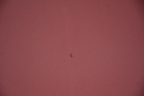 MASKA POKRYWA SILNIKA KIA RIO III