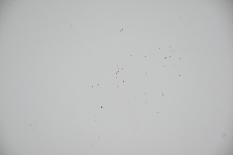 MASKA POKRYWA SILNIKA LANCIA YPSILON III 268/A