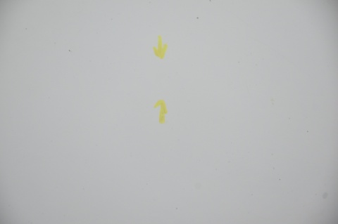 MASKA POKRYWA SILNIKA LANCIA YPSILON III 268/A