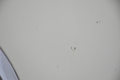 MASKA POKRYWA SILNIKA MINI ONE COOPER R56 LIFT