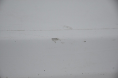 ZDERZAK TYLNI TYŁ FORD MONDEO MK4 HB LIFT ST PDC