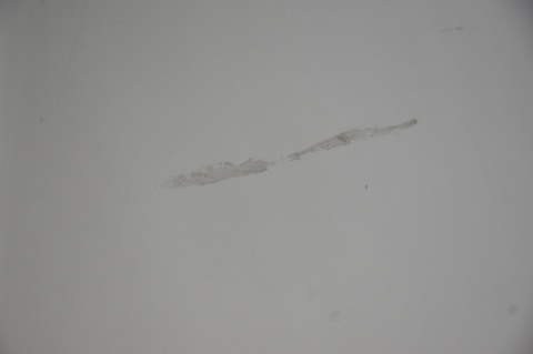 DRZWI PRZEDNIE PRZÓD LEWE RENAULT TRAFIC II VIVARO