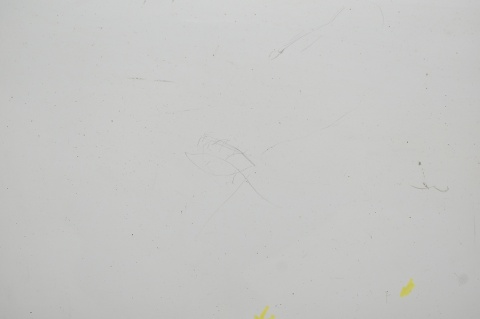 DRZWI TYLNE TYŁ LEWE CITROEN JUMPY EXPERT SCUDO II EWPA