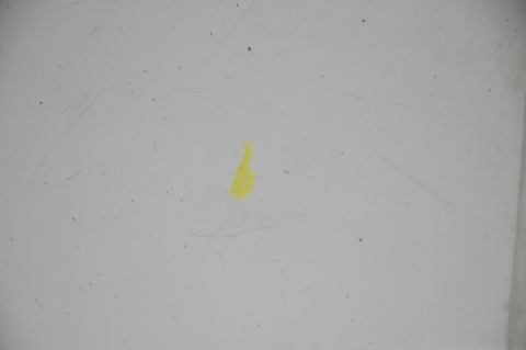 DRZWI TYLNE TYŁ LEWE CITROEN JUMPY EXPERT SCUDO II EWPA