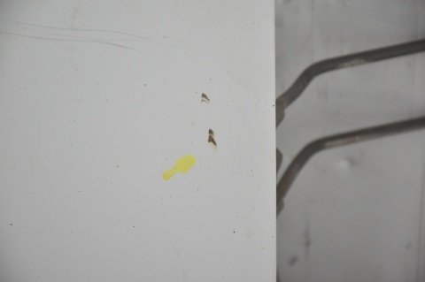 DRZWI TYLNE TYŁ PRAWE CITROEN JUMPY EXPERT II EWPA