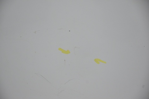 DRZWI TYLNE TYŁ PRAWE RENAULT TRAFIC III OPEL VIVARO B