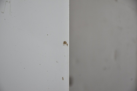 DRZWI TYLNE TYŁ PRAWE RENAULT TRAFIC III OPEL VIVARO B