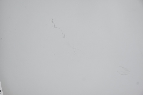 MASKA POKRYWA SILNIKA MERCEDES SLK W170 774