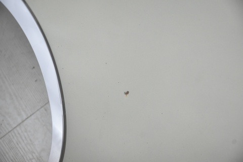 MASKA POKRYWA SILNIKA MINI ONE COOPER R56 A60/7