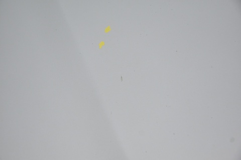 MASKA POKRYWA SILNIKA SAAB 9-3 93 II LIFT