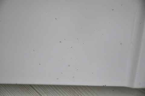 MASKA POKRYWA SILNIKA TOYOTA CELICA VII