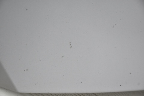 MASKA POKRYWA SILNIKA TOYOTA CELICA VII