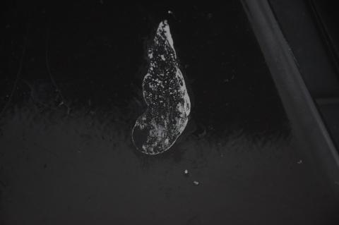 ZDERZAK PRZEDNI PRZÓD ALFA ROMEO MITO 805