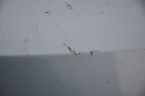 ZDERZAK PRZEDNI PRZÓD FORD FOCUS MK2 II CABRIO CC T7