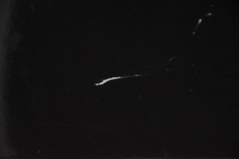 ZDERZAK PRZEDNI PRZÓD JEEP CHEROKEE III WK