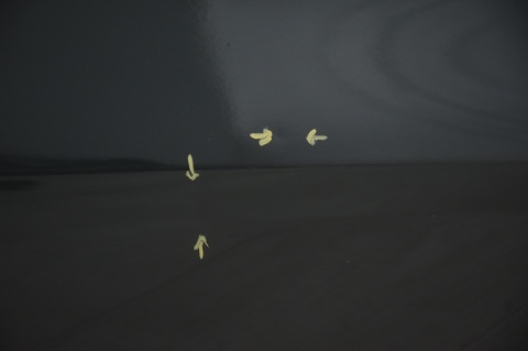 DRZWI PRZEDNIE PRZÓD LEWE JAGUAR F-PACE