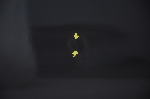 DRZWI PRZEDNIE PRZÓD PRAWE JEEP COMPASS I