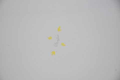 DRZWI TYLNE TYŁ LEWE AUDI A1 I 8X