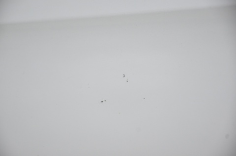 DRZWI TYLNE TYŁ LEWE AUDI A1 I 8X