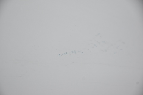 DRZWI TYLNE TYŁ LEWE AUDI Q5 I 8R