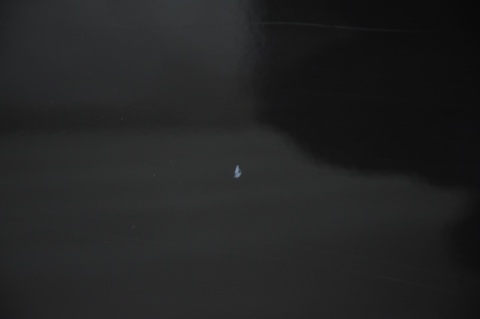 DRZWI TYLNE TYŁ LEWE HYUNDAI I40 KOMBI UB6