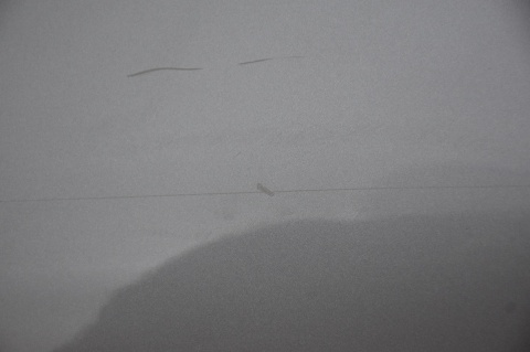 DRZWI TYLNE TYŁ LEWE RENAULT CLIO IV