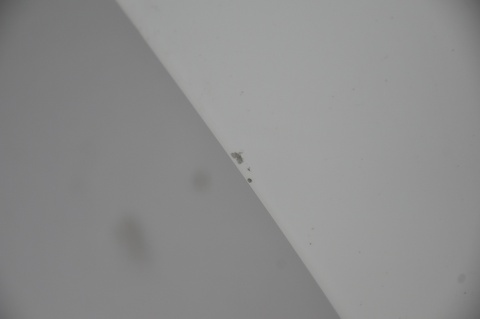 DRZWI TYLNE TYŁ PRAWE BMW 5 F10 SEDAN