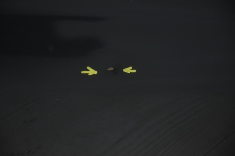 DRZWI TYLNE TYŁ PRAWE TOYOTA HILUX VII