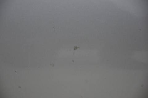 DRZWI PRZEDNIE PRZÓD LEWE HONDA CR-Z NH642M