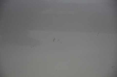 DRZWI PRZEDNIE PRZÓD LEWE HONDA CR-Z NH642M