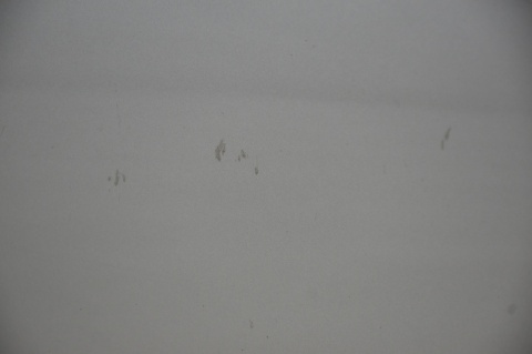 DRZWI PRZEDNIE PRZÓD LEWE HONDA CR-Z NH642M