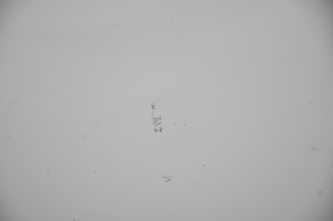 DRZWI PRZEDNIE PRZÓD LEWE HYUNDAI I40 NCW