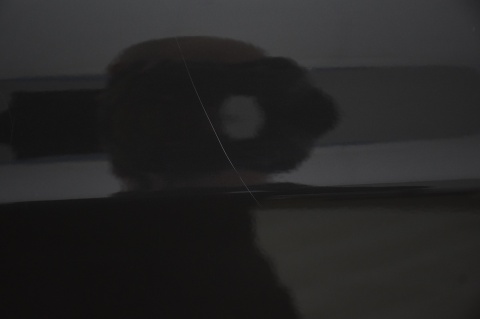 DRZWI PRZEDNIE PRZÓD LEWE TESLA MODEL S