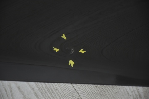 DRZWI PRZEDNIE PRZÓD PRAWE JAGUAR F-TYPE X156 COUPE