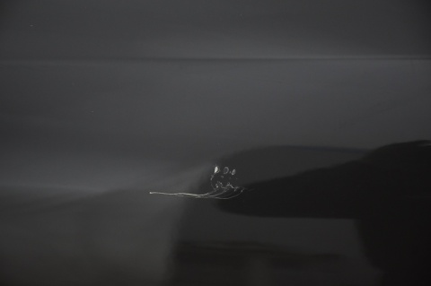 DRZWI PRZEDNIE PRZÓD PRAWE JAGUAR F-TYPE X156 COUPE