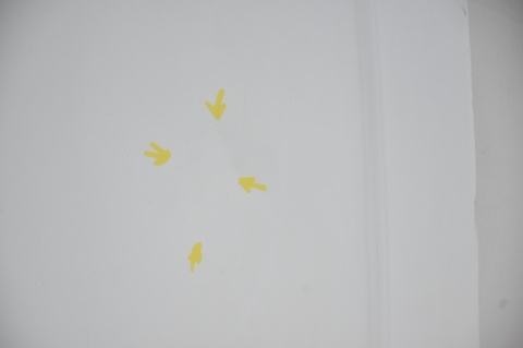 DRZWI TYLNE TYŁ PRAWE MERCEDES CITAN W415