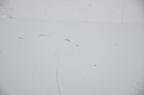 GRILL ATRAPA CHŁODNICY RENAULT KANGOO II