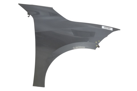 BŁOTNIK PRZEDNI PRAWY RENAULT MEGANE III 3 CABRIO TEB66