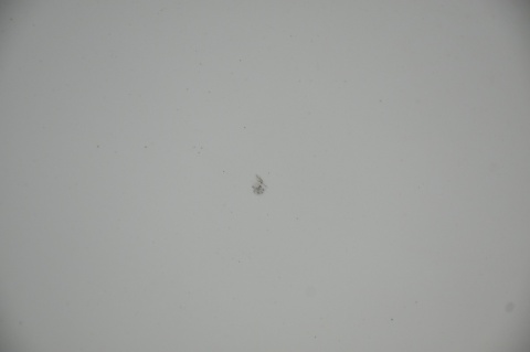 BŁOTNIK PRZEDNI PRZÓD LEWY OPEL ASTRA J IV GTC CASCADA