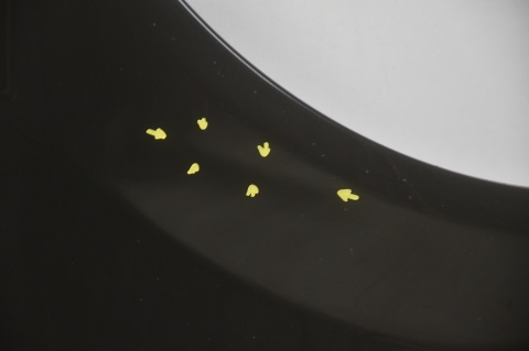 BŁOTNIK PRZEDNI PRZÓD PRAWY MERCEDES C W204 C197