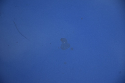 BŁOTNIK PRZEDNI PRAWY SUZUKI SX4 FIAT SEDICI