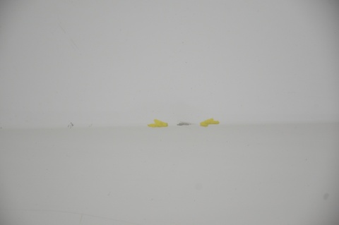 DRZWI PRZEDNIE PRZÓD LEWE VW PASSAT CC LB9A