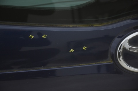 KLAPA TYLNA TYŁ TOYOTA VERSO 8S6 KAMERA