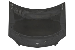 MASKA POKRYWA SILNIKA MERCEDES ML W164 C197