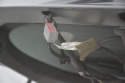 KLAPA TYLNA TYŁ FORD FIESTA MK7 ST 3D DF